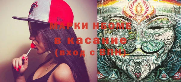 шишки Баксан