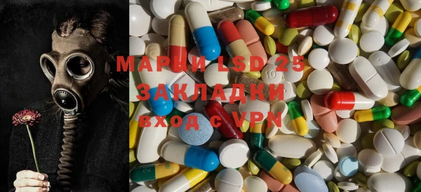 шишки Баксан