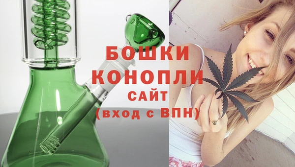 PSILOCYBIN Балахна