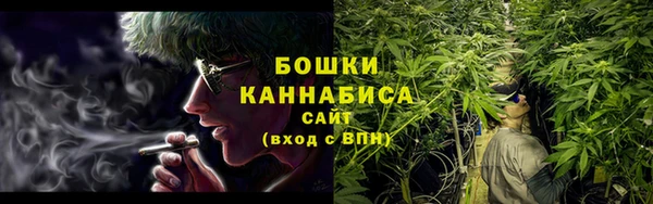 PSILOCYBIN Балахна
