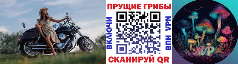 магазин продажи наркотиков  Кстово  Псилоцибиновые грибы GOLDEN TEACHER 
